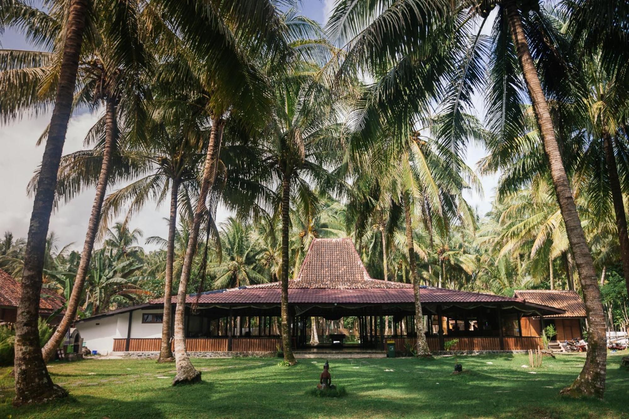 Sumatra Surf Resort Biha Eksteriør billede